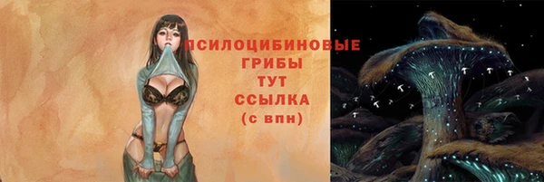 спиды Гусь-Хрустальный