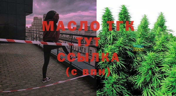 не бодяженный Гусев