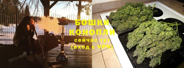 гидропоника Горняк