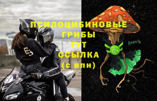 спиды Гусь-Хрустальный
