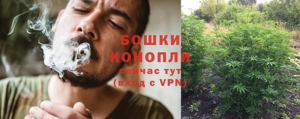 не бодяженный Гусев